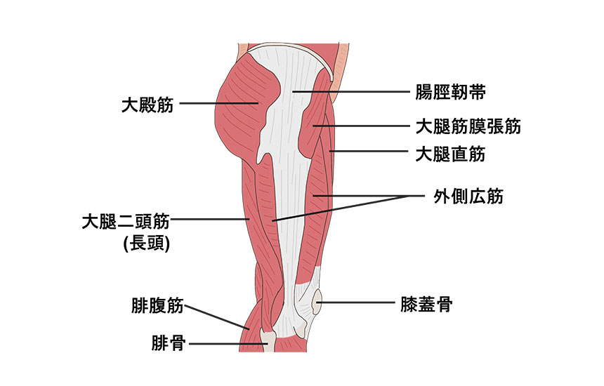 体の仕組み