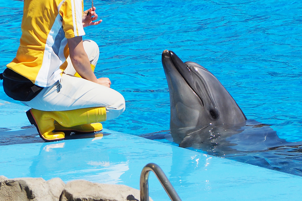 水族館